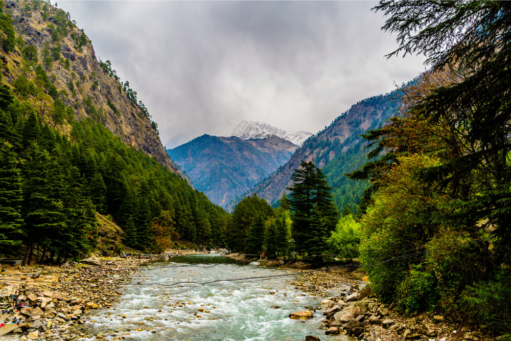things to do in manali