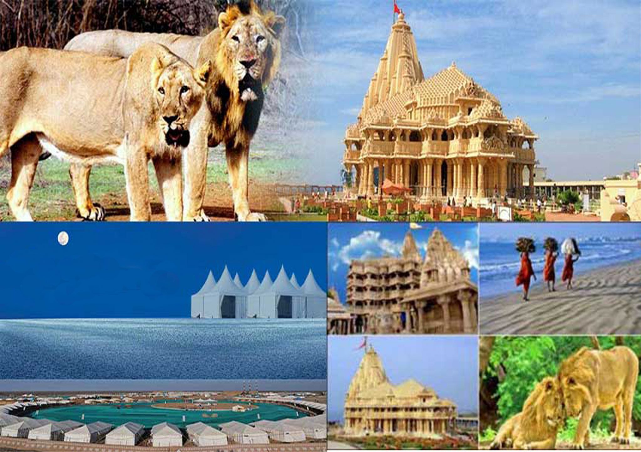 gujarat rajasthan tour packages